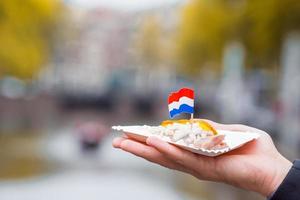 arenque fresco con cebolla y bandera holandesa en el fondo del canal de agua en amsterdam. comida tradicional holandesa foto