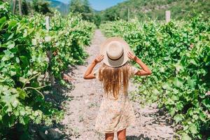 mujer en el viñedo en el día del sol foto