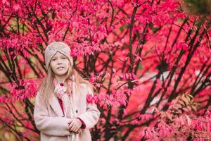 Adorable little girl at beautiful autumn day outdoors photo