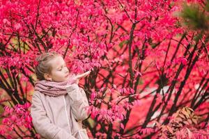 Portrait of adorable little girl outdoors at beautiful autumn day photo