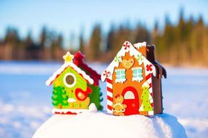 Winter Holiday Gingerbread house photo