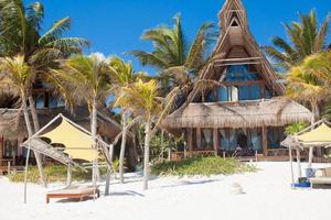hotel de lujo en un complejo tropical a orillas del océano con palmeras foto