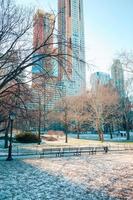 hermoso parque central en la ciudad de nueva york foto