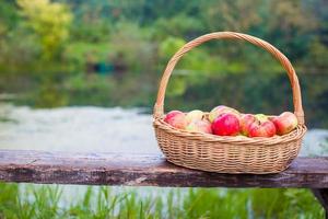 cerca de una gran canasta de paja con manzanas rojas y amarillas en un banco junto al lago foto