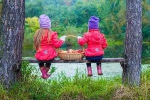 vista trasera de dos hermosas hermanas en un banco junto al lago con una canasta de manzanas rojas en las manos foto