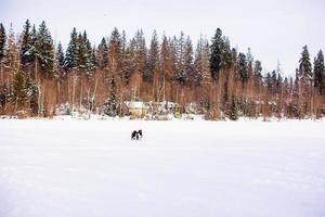 Winter landscape with a small house in the forest photo