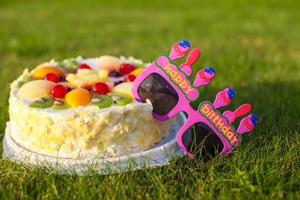 Celebratory cake and glasses that says a Happy Birthday photo