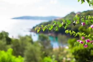 laguna perfecta con agua turquesa foto