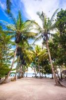 playa soleada tropical en un hermoso resort exótico foto