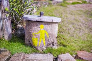 Bright rubbish bin with a pattern in tropical resort photo