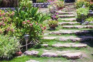 Old stone steps in a cozy little boutique hotel photo