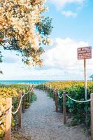 Sand trail to the beach in Florida photo