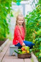 Adorable little girl harvesting cucumbers and tomatoes in greenhouse. Portrait of kid with red tomato in hands. photo