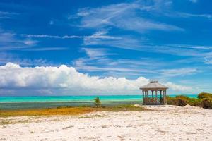 Traditional bright Caribbean houses on sea shore photo