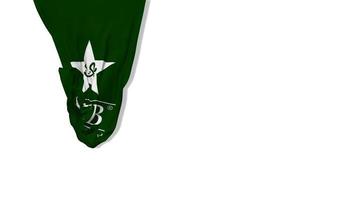 Pakistan Cricket Board, PCB Hanging Fabric Flag Waving in Wind 3D Rendering, Chroma Key, Luma Matte Selection video