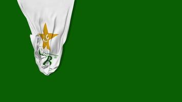 Pakistan Cricket Board, PCB Hanging Fabric Flag Waving in Wind 3D Rendering, Chroma Key, Luma Matte Selection video