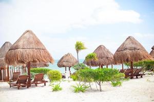 Exotic tropical empty sandy beach with umbrellas and beach beds surrounded by palm trees photo