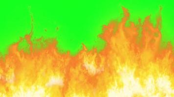 Fire green screen 4K resolution video