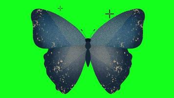 Animated Butterfly Stock Video Footage for Free Download Animated Butterfly Stock Video Footage for Free Download