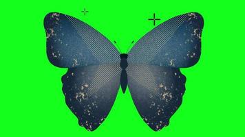 Butterfly animated green screen video