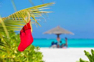 Red Santa Christmas stocking between palm trees on white beach photo