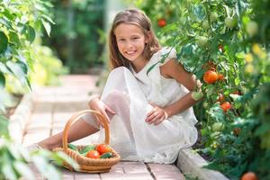 Adorable girl harvesting vegetables in greenhouse. Portrait of kid with basket full of vegetables photo