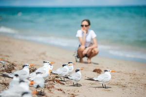 niña adolescente feliz jugando con aves gaviotas, corriendo y divirtiéndose en la playa en un caluroso día de verano. florida vacaciones de verano vacaciones foto