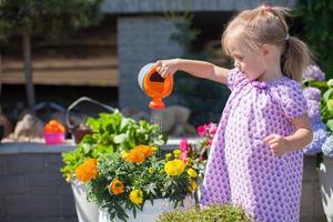 niña bonita regando flores con una regadera foto