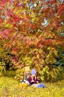 Little adorable girls at warm sunny autumn day outdoors photo