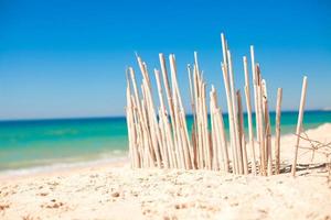 Dry fence of reeds on a deserted coast in Faro, Portugal photo