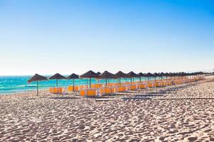 Empty beach with closed umbrellas on Portuguese coast photo