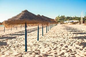 Straw umbrellas at empty tropical beach on the Atlantic coast photo