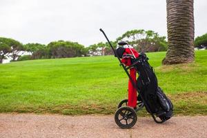 primer plano de una bolsa de golf en un campo verde perfecto foto