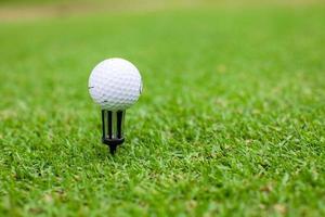 Golfball on a tee against the golf course photo