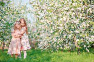 Adorable little girls in blooming apple tree garden on spring day photo