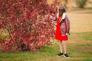 Adorable little girl at beautiful autumn day outdoors photo