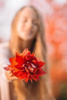 retrato de niña adorable con ramo de hojas amarillas en otoño foto
