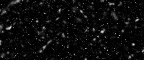 Snowfall bokeh on black background. Many snowflakes in flying in the air. Winte night snowfall and blizzard of snow at. Blur bokeh light effect creative background. photo