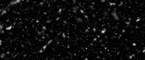 Snowfall bokeh on black background. Many snowflakes in flying in the air. Winte night snowfall and blizzard of snow at. Blur bokeh light effect creative background. photo