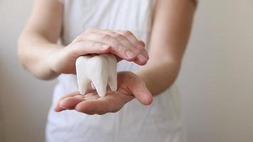 Gesundheitszahnpflegekonzept. Frauenhand, die weißes gesundes Zahnmodell lokalisiert auf weißem Hintergrund hält. Zahnaufhellung, zahnärztliche Mundhygiene, Zahnsanierung, Zahnarzttag