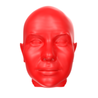 representación 3d del busto humano png