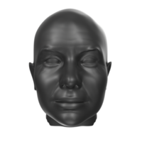 3D Rendering Of Human Bust png