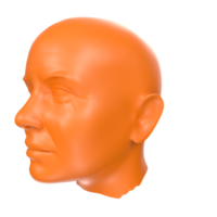 Rendu 3D du buste humain png