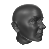 representación 3d del busto humano png