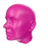 representación 3d del busto humano png