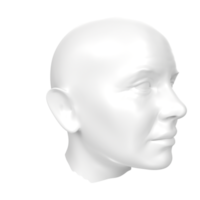 representación 3d del busto humano png
