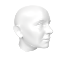 3D Rendering Of Human Bust png