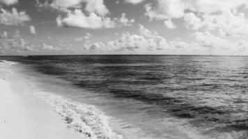 playa caribeña tropical agua clara turquesa playa del carmen méxico. video