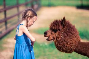 Charming little girl is playing with cute alpaca in the park photo