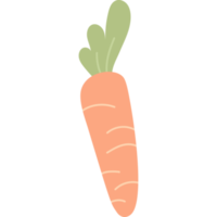 vegetal. zanahorias con hojas png